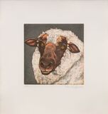 Tierköpfe - Bild 5