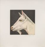 Tierköpfe - Bild 6