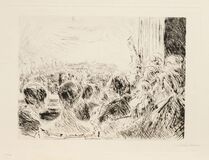 The Concert