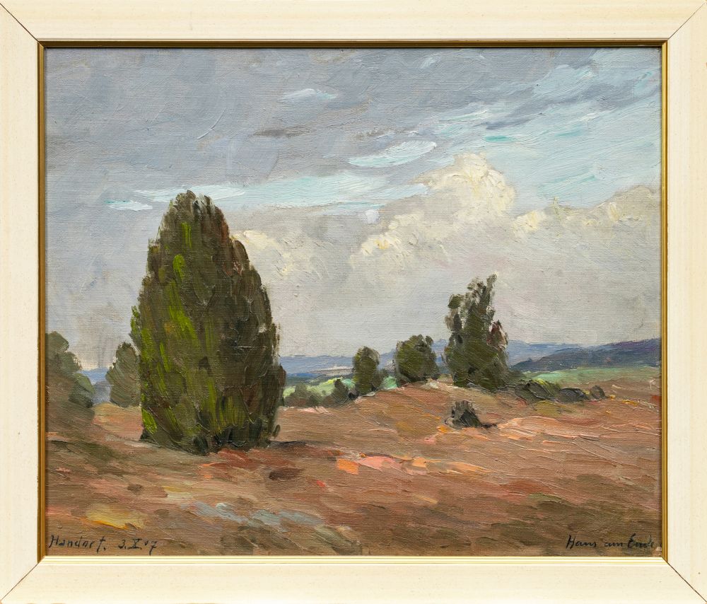 Heathland near Handorf - image 2