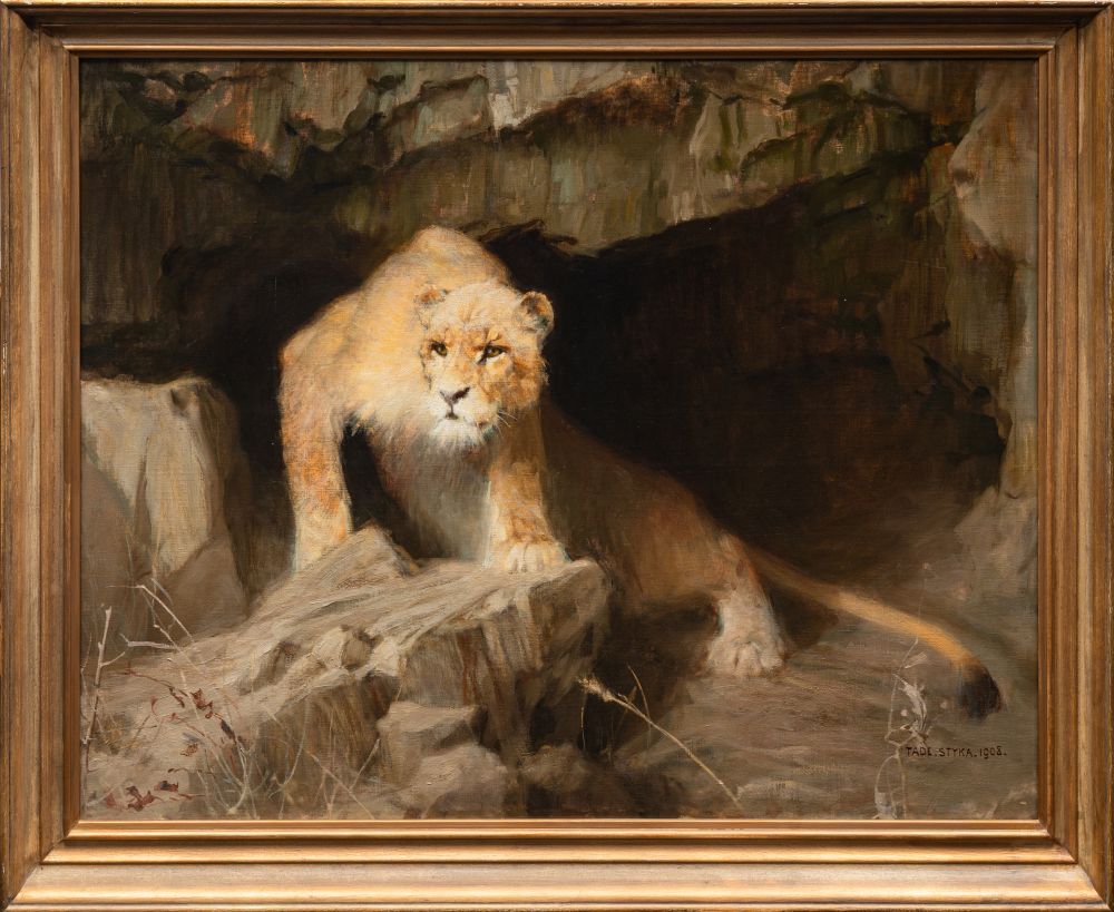 Lioness - image 2