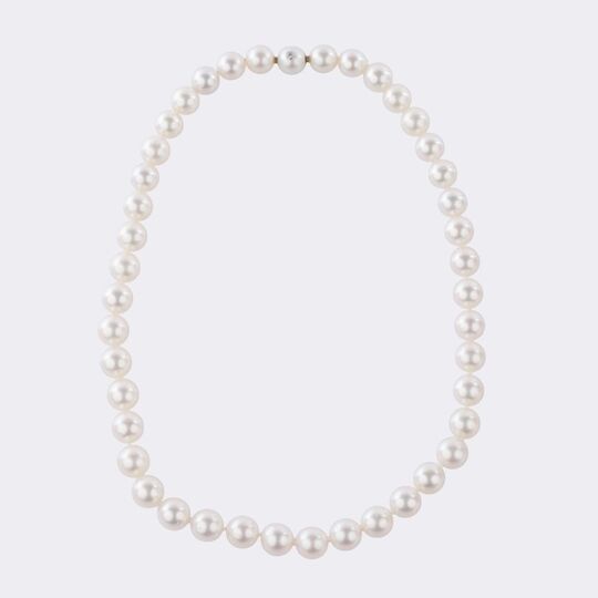 South Sea Pearl Necklace