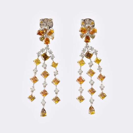 Pair of multicoloured Fancy Diamond Earrings