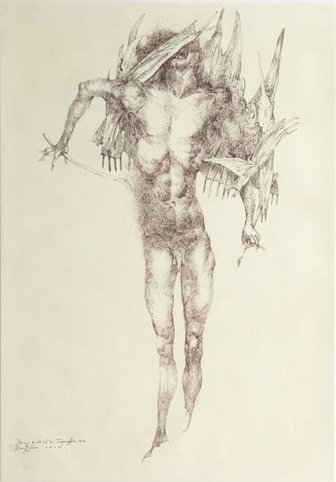 Heinz Zander - Ikarus entering the Troposphere
