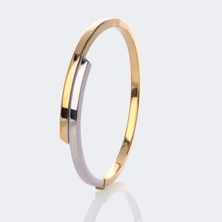  - Bicolour gold bangle