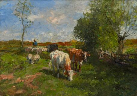 Thomas Herbst - Cows in the meadow