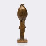Kestrel - image 2