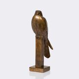 Kestrel - image 3