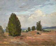 Heathland near Handorf - image 1