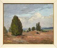 Heathland near Handorf - image 2