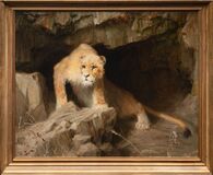 Lioness - image 2