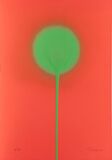 Green on Red