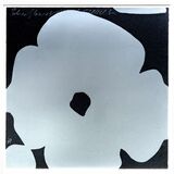 Silver Flower March 5 - image 2