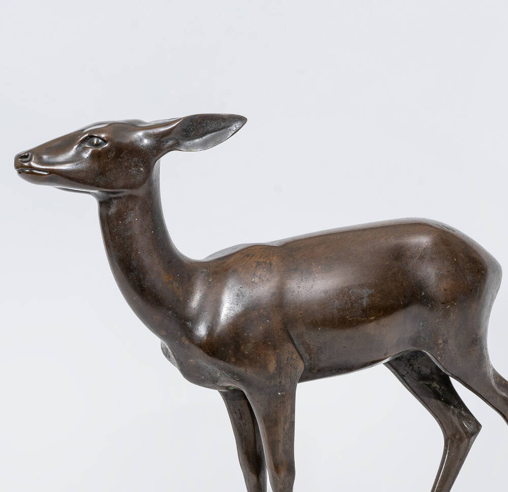 Deer