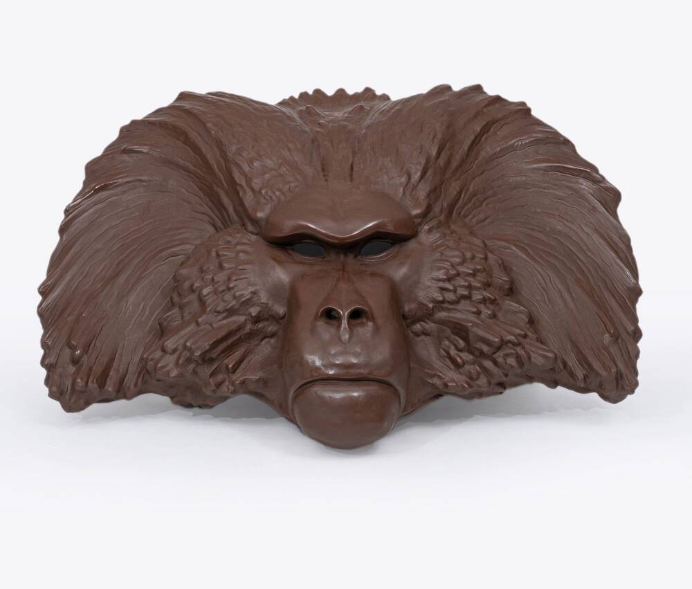 An Impressive Baboon Mask